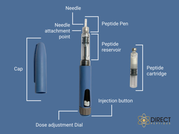 direct peptide diagram